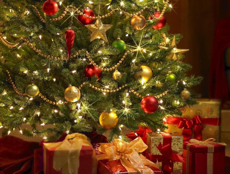 Как жители региона планируют встречать Новый год?